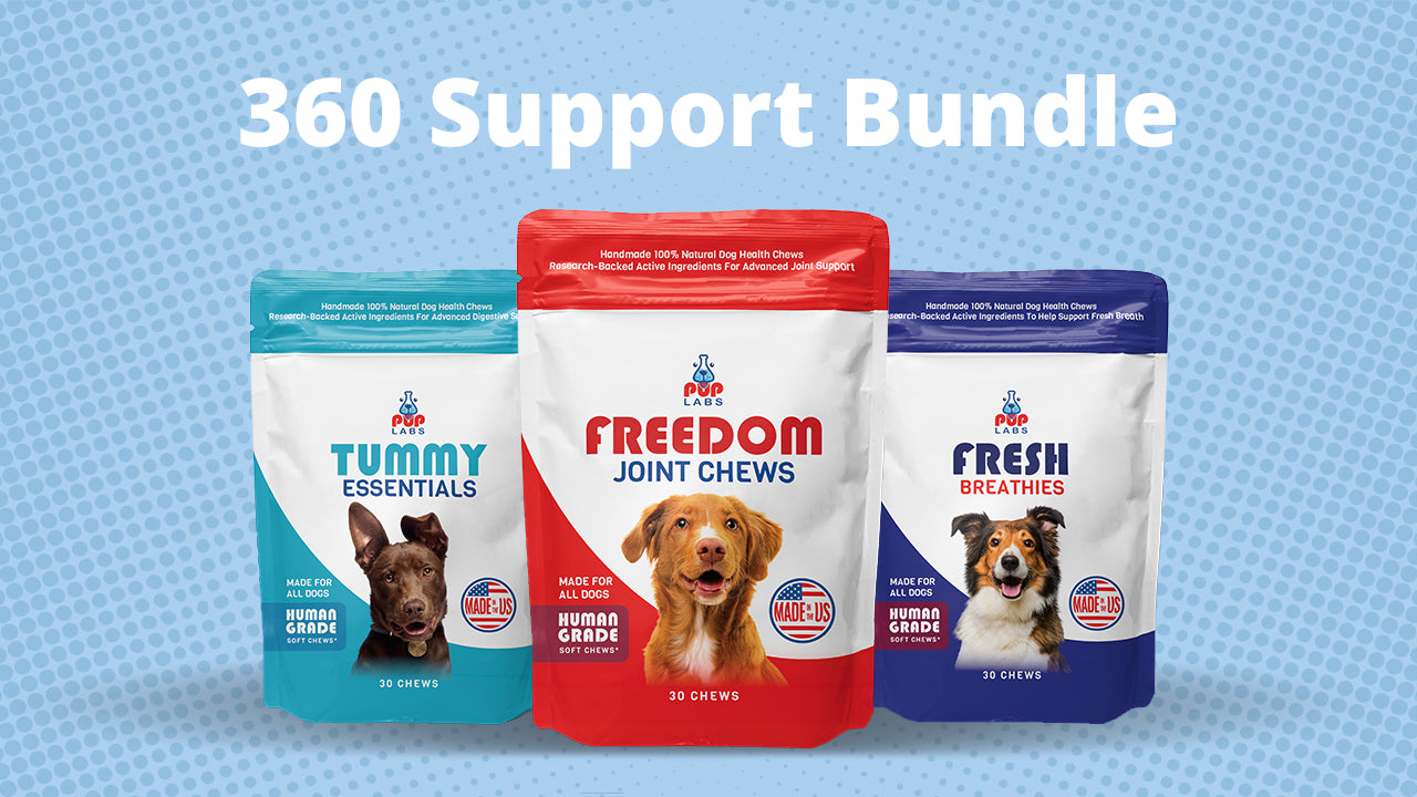 360 Support Bundle Pup Labs