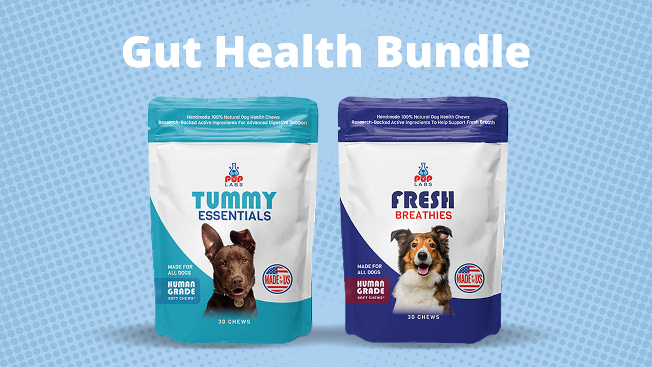 Gut Health Bundle Pup Labs 1 Bundle