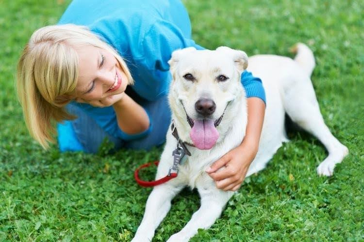 Active dog and owner enjoying outdoor exercise together.