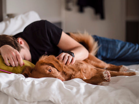dog sleep problems
