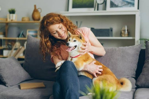 Dog owner cuddling a happy dog at home, showing signs of a good quality of life in dogs.