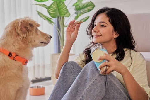 Dog owner rewarding a dog with a small training treat, illustrating how many treats are safe for your dog each day and the importance of portion control.