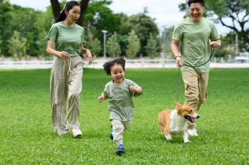 Family enjoying outdoor exercise with their dog, highlighting factors that influence quality of life for dogs.