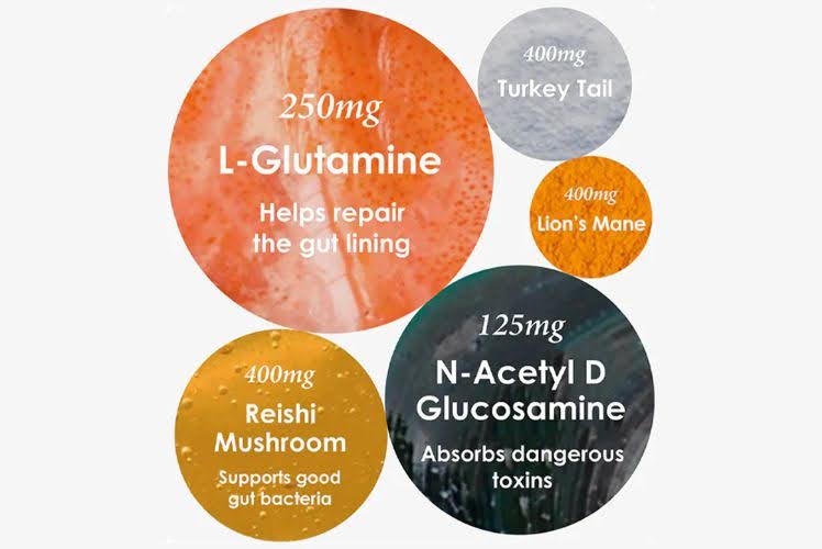 Graphic showing supplement ingredients including L-Glutamine, Reishi Mushroom, Turkey Tail, Lion’s Mane, and N-Acetyl D Glucosamine with their benefits and dosages.