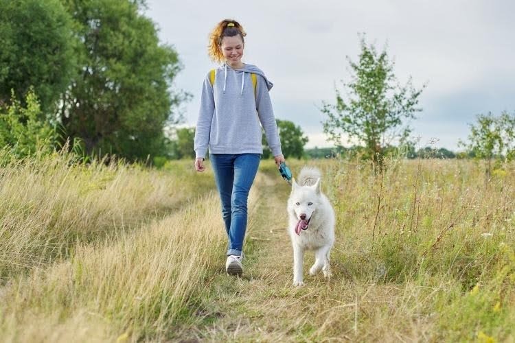 Owner walking a dog on a grassy trail during daily exercise and outdoor enrichment.