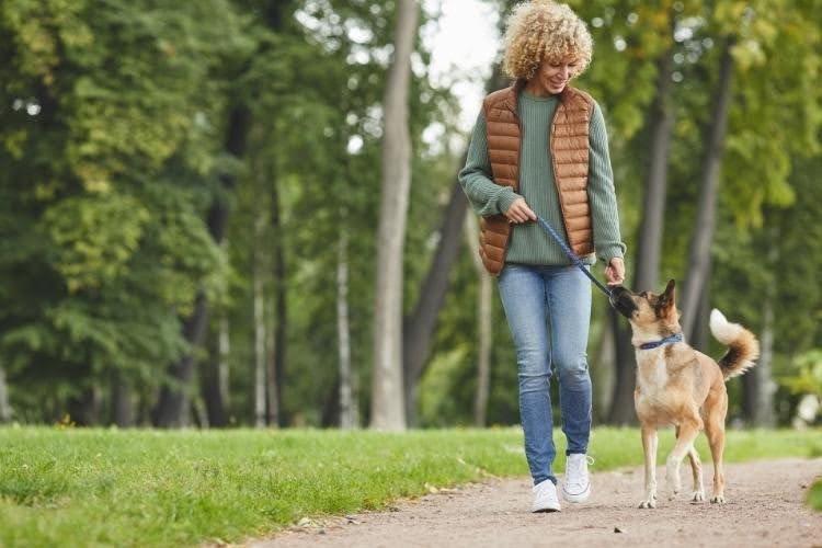 Owner walking an adult dog in the park during a daily walk for exercise and mental stimulation.