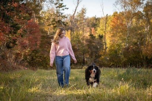 Taking your dog for a walk as one of the ways to improve your dog's quality of life every day.