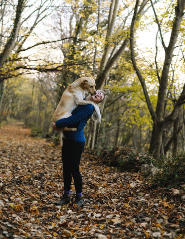 how to bond with your dog