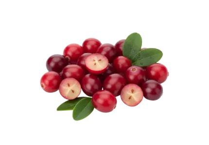 Cranberry Extract