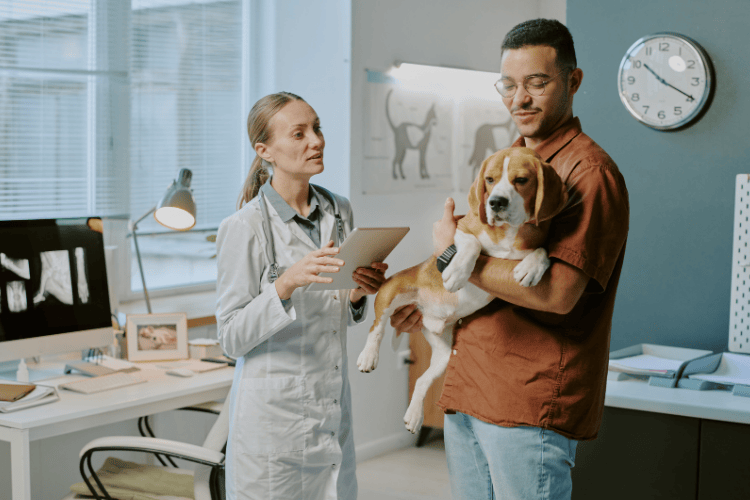 A veterinarian holding a tablet while speaking to a dog owner who is carrying his beagle inside an exam room.