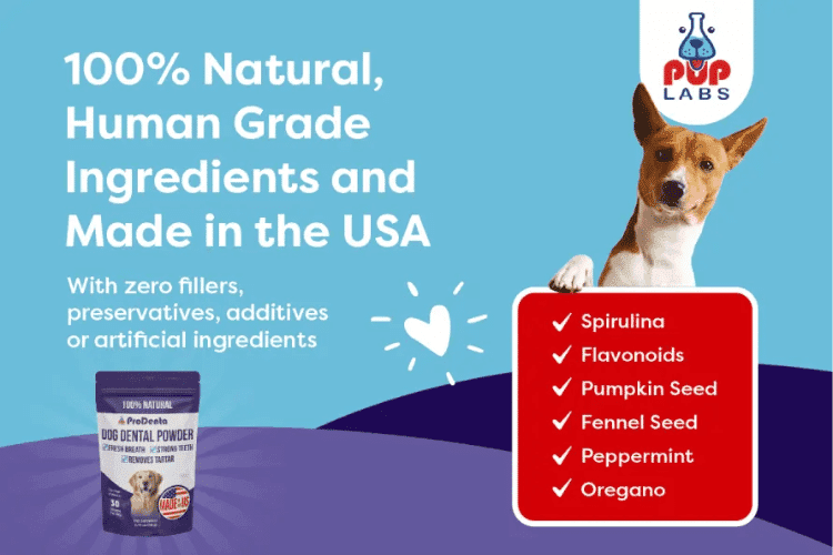Pup Labs natural dog dental powder ingredients.