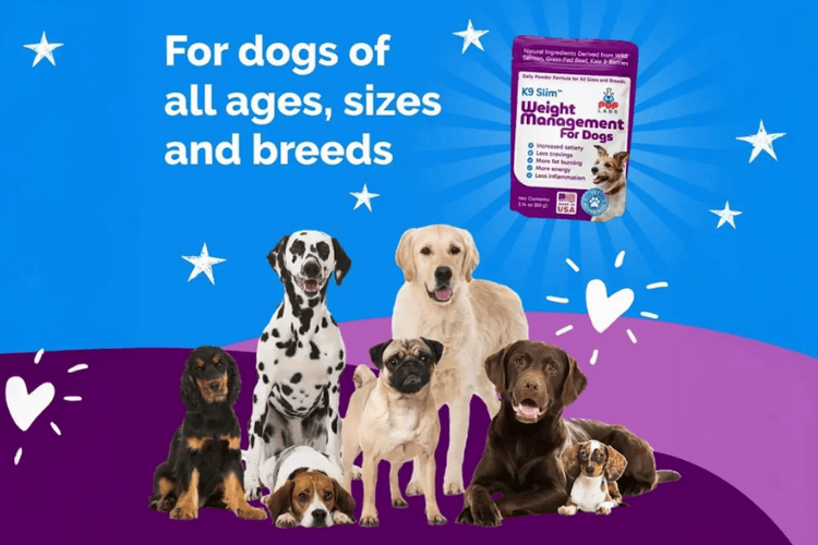 Promotional graphic showing dogs of different breeds and sizes with text stating the supplement is for dogs of all ages, sizes, and breeds.
