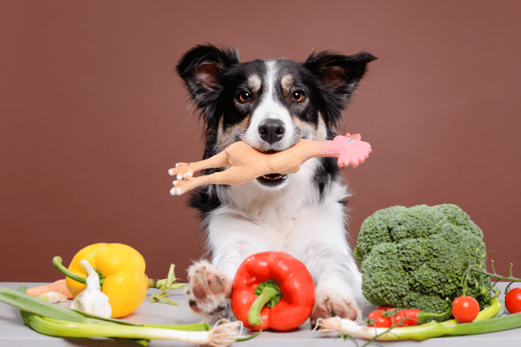 A dog holding a rubber chicken toy in its mouth while surrounded by fresh vegetables on a table.