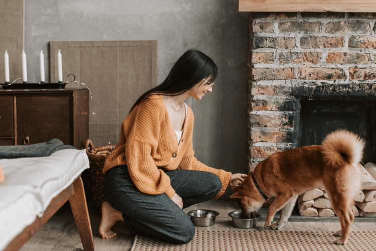 A woman kneeling beside her dog as it eats from a bowl in a cozy living room.
