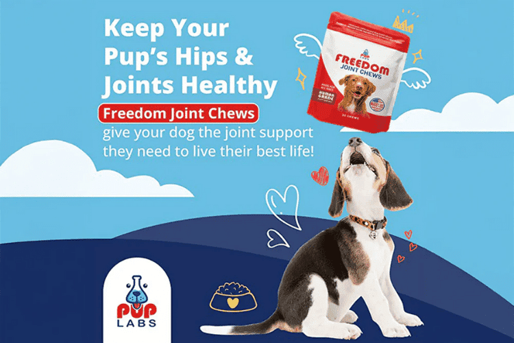 Pup Labs Freedom Joint Chews promoting healthy hips and joints for dogs.