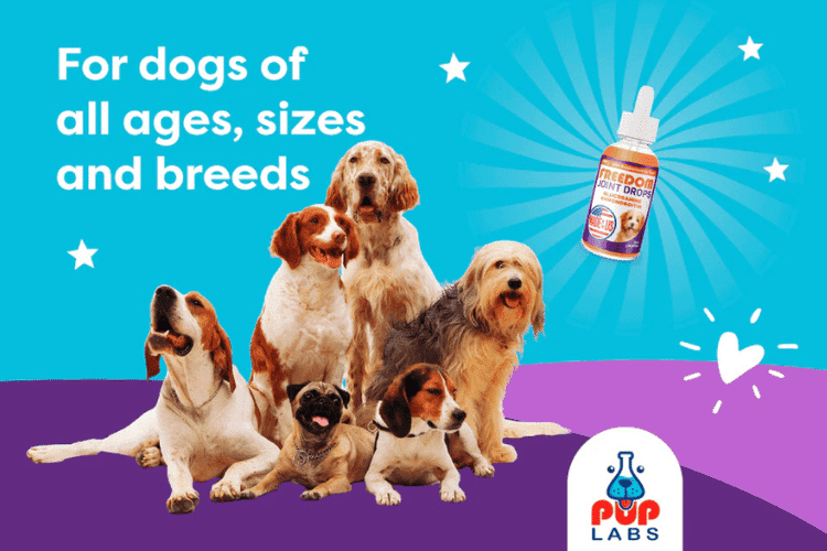 Freedom Joint Drops promotional image showing dogs of different breeds and sizes next to the supplement bottle.