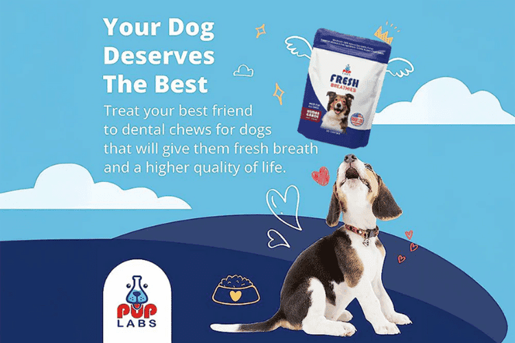 Pup Labs Fresh Breath dental chews, fresher breath for dogs.