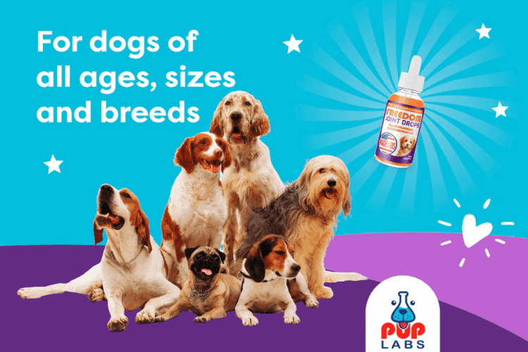 Group of dogs of various breeds and sizes next to Pup Labs Freedom Joint Drops product.
