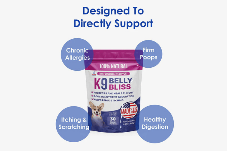 Pup Labs K9 Belly Bliss dog supplement bag with callouts highlighting benefits like healthy digestion, firm stools, reduced itching, and allergy support.