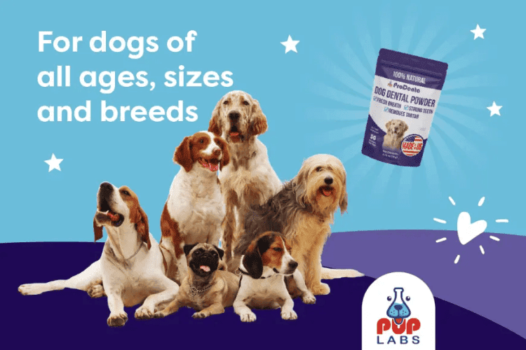 Pup Labs ProDenta ad showing group of dogs of different breeds and sizes next to the product packaging.