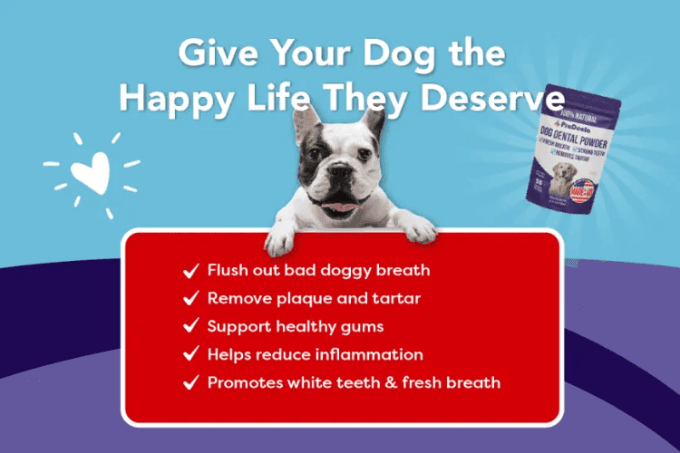 Pup Labs ProDenta ad featuring a bulldog with list of benefits including fresher breath, plaque removal, and gum support.