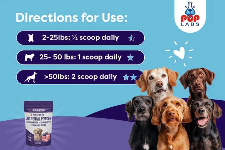 ProDenta directions for use chart showing daily scoop amounts for small, medium, and large dogs with dog images.