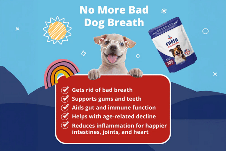 A smiling dog next to a Labs Fresh Breathies pouch with a checklist highlighting benefits for fresher breath and oral support.