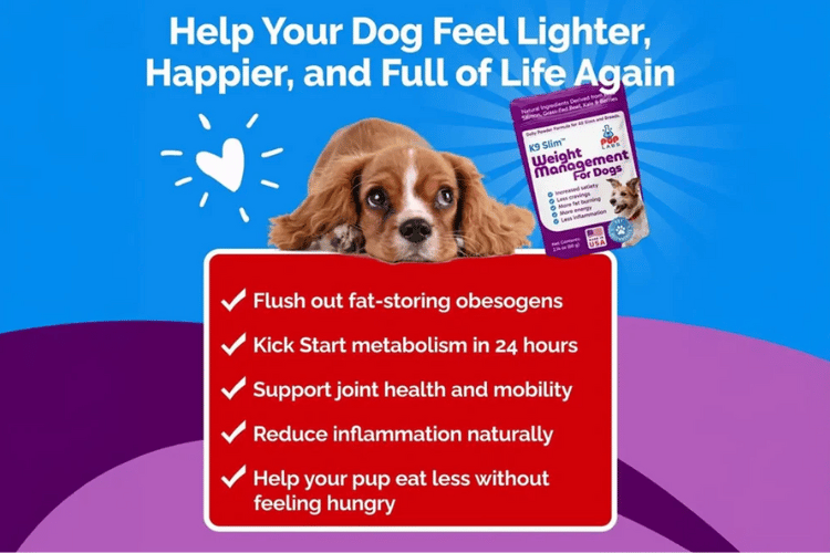 A promotional graphic for Pup Labs K9 Slim Weight Management for Dogs with a puppy lying behind a benefits list including flushing obesogens, boosting metabolism, and reducing inflammation.
