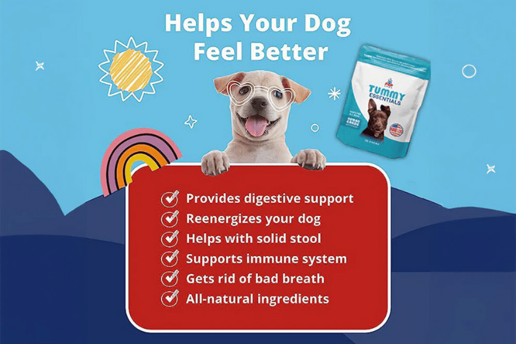 A cheerful dog with heart-shaped glasses and a Pup Labs Tummy Essentials pouch in the background, alongside a list of digestive and wellness benefits.