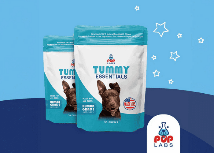 Pup Labs Tummy Essentials dog supplement pouches displayed against a blue background.