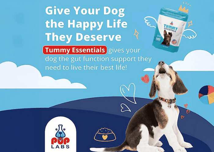 Illustration featuring a beagle and Pup Labs Tummy Essentials packaging with text about gut function support.
