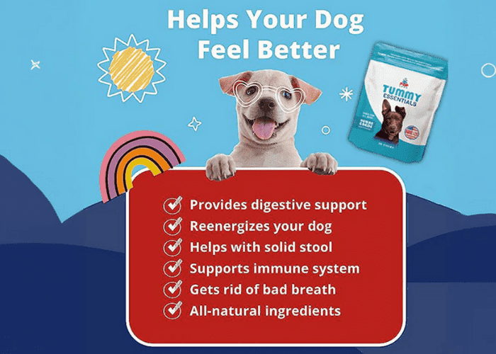 Promotional graphic for Pup Labs Tummy Essentials listing digestive and immune benefits with an illustrated dog wearing glasses.