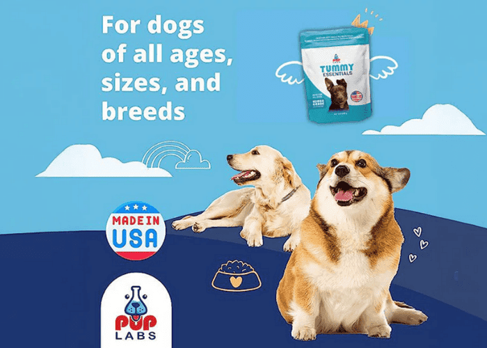 Promotional graphic showing two dogs beside a Pup Labs Tummy Essentials supplement pack with text “For dogs of all ages, sizes, and breeds.”