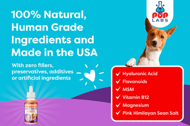 Pup Labs supplement highlighting natural, human-grade ingredients for dogs.