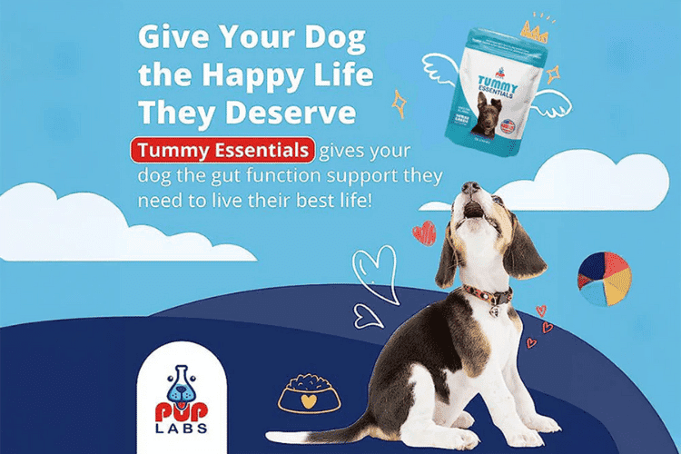 Pup Labs Freedom Joint Chews promoting healthy hips and joints for dogs.