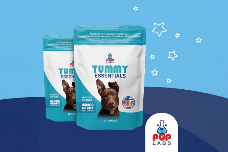Two bags of Pup Labs Tummy Essentials dog supplements displayed on a blue background with brand logo.