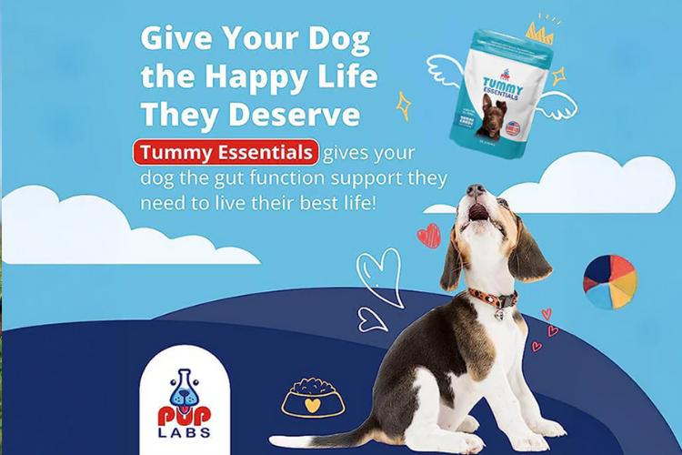 Pup Labs advertisement featuring Tummy Essentials supplement for dogs, with a happy puppy illustration and text about gut health support.
