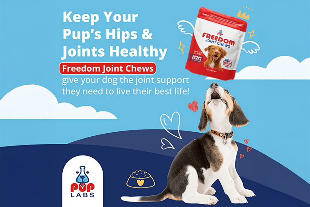 Joint Supplements for Dogs - Hip & Joint Health - Pup Labs