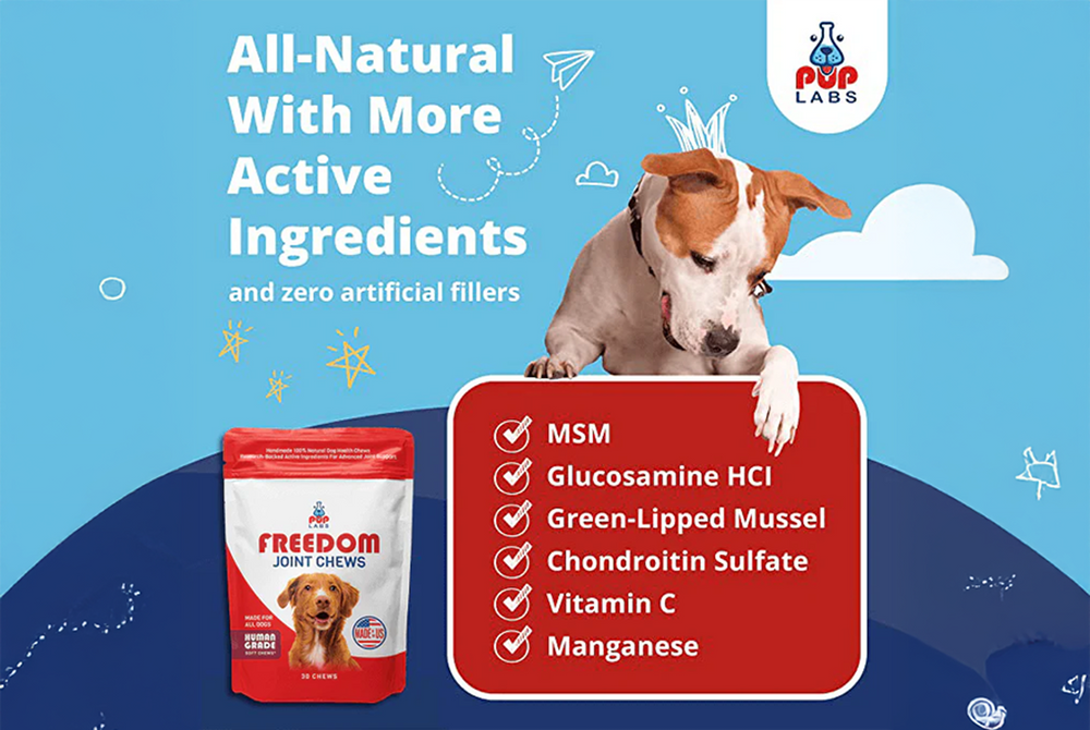 Freedom Joint Chews - Dog Hip & Joint Chews - Pup Labs