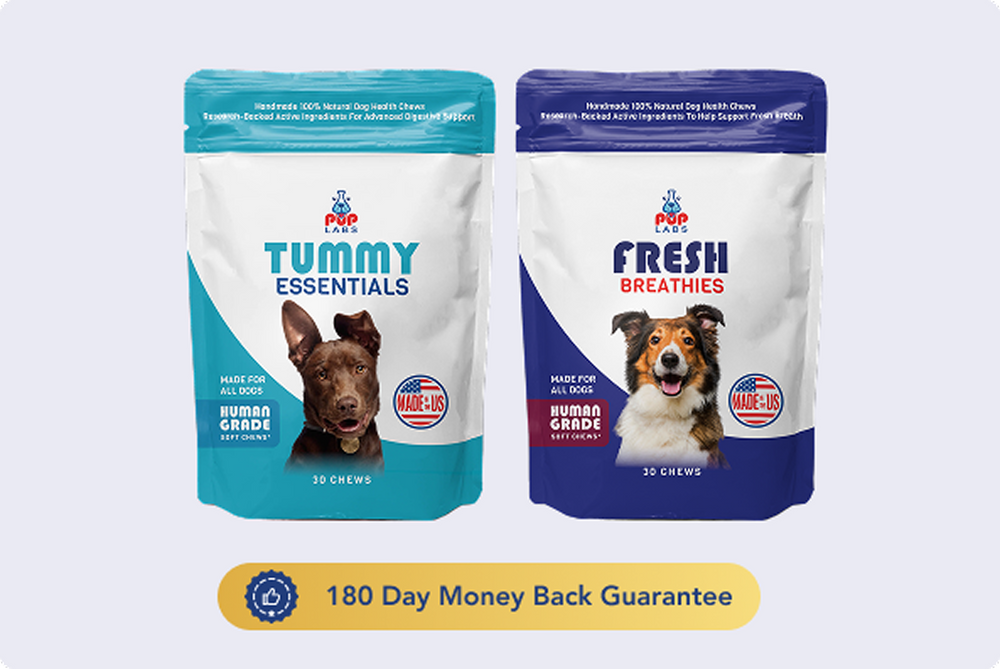 Gut Health Bundle – Pup Labs