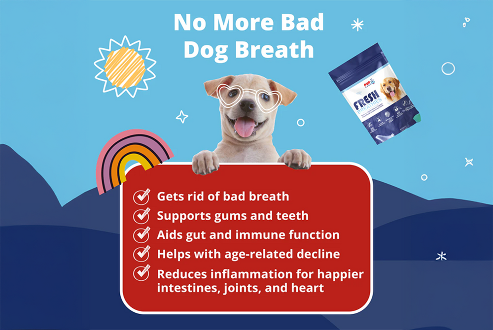 Natural Dog Treats & Chews - Made in the USA - Pup Labs