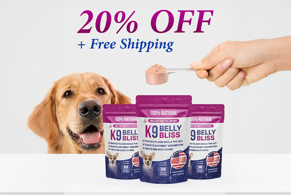 K9 Belly Bliss for Dogs - Vet Approved - Pup Labs