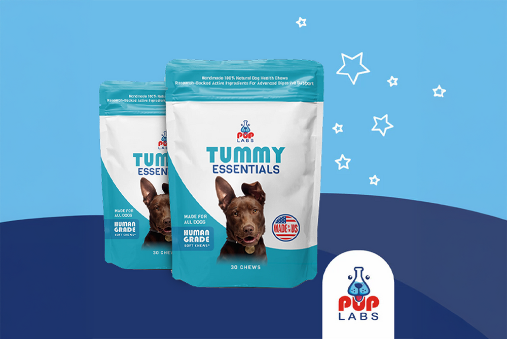Tummy Essentials Digestive Chews For Dogs - Pup Labs
